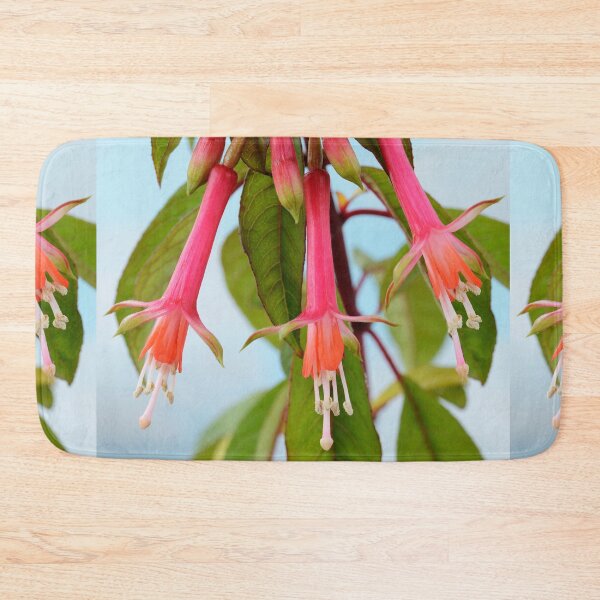 Item preview, Fuchsia denticulata   AGM  designed and sold by Chris Burrows.