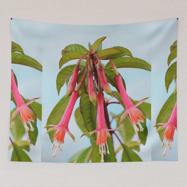 Item preview, Fuchsia denticulata   AGM  designed and sold by Chris Burrows.