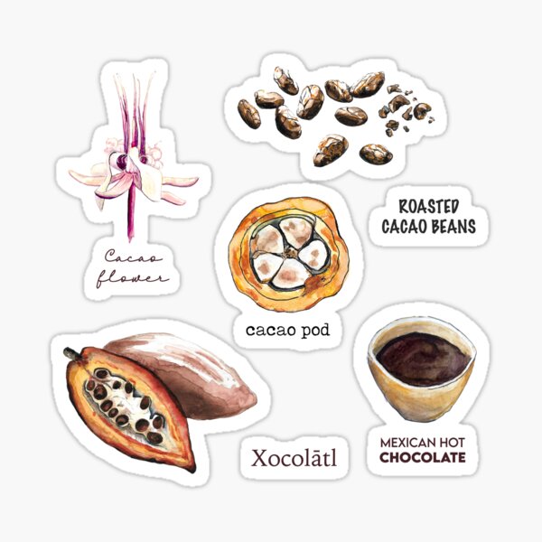Cacao Geschenke Merchandise Redbubble