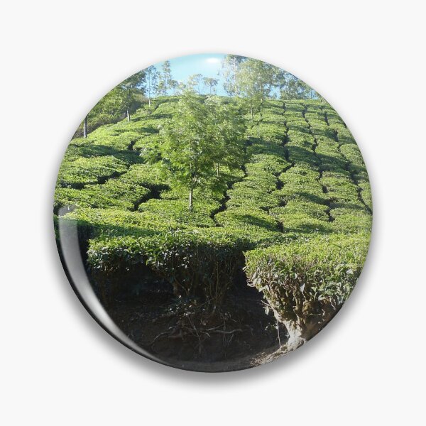Item preview, Green Hills Tea Plantation Landscape, Kerala, India designed and sold by worldways.