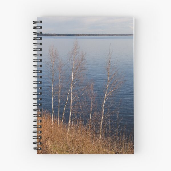 Item preview, Birches on a Cliff designed and sold by denis-romanov.