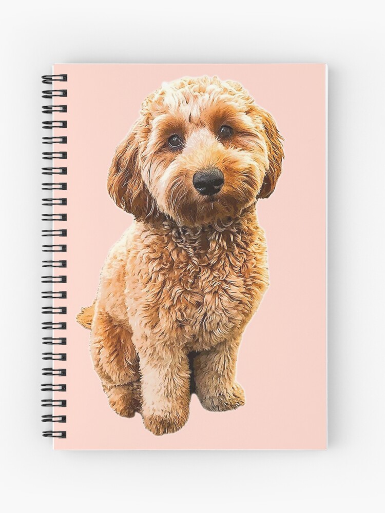 Goldendoodle Puppy Dog Labradoodle Poodle mix x Journal