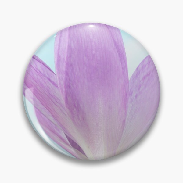 Item preview, Colchicum  'The Giant'  Autumn crocus  Naked ladies  designed and sold by Chris Burrows.