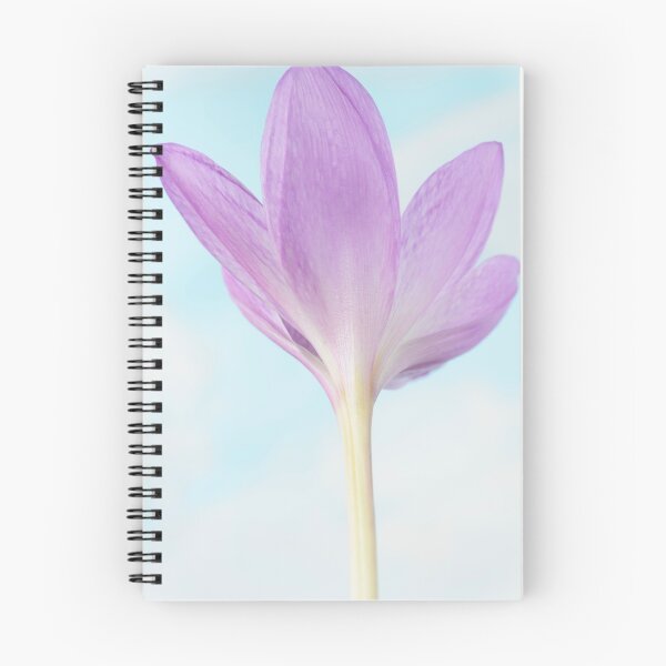 Item preview, Colchicum  'The Giant'  Autumn crocus  Naked ladies  designed and sold by Chris Burrows.