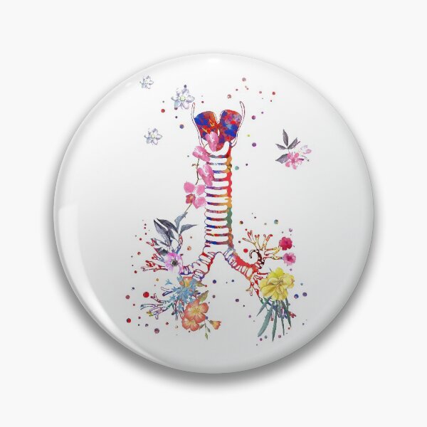 Item preview, Windpipe, windpipe anatomy, watercolor windpipe designed and sold by Rosaliartbook.