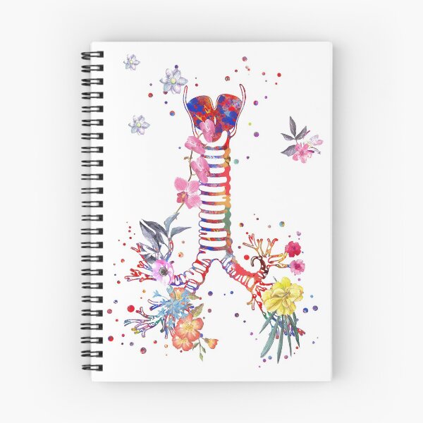 Item preview, Windpipe, windpipe anatomy, watercolor windpipe designed and sold by Rosaliartbook.