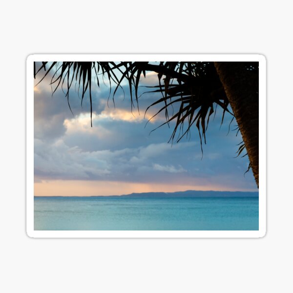 Noosa Sticker