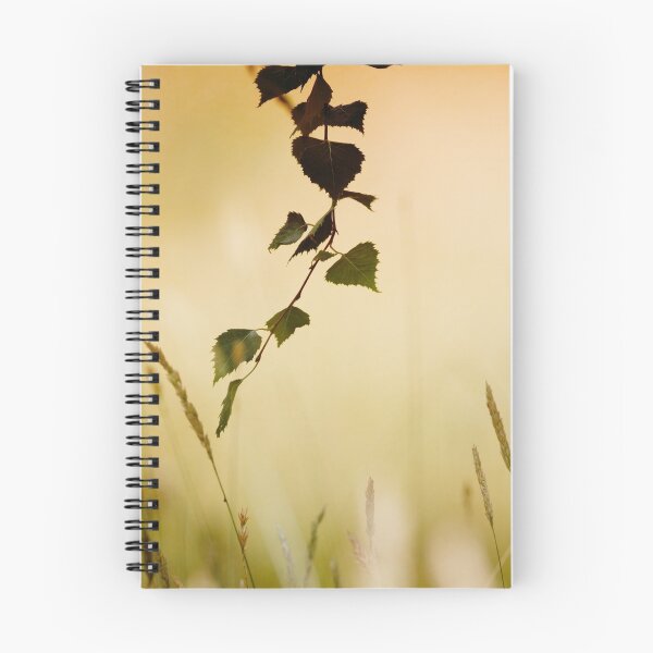 Item preview, Morning Light designed and sold by Chris Cobern.