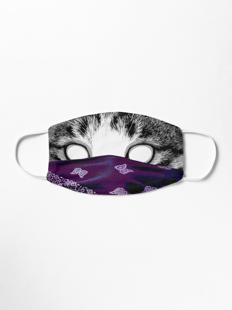 Alternate view of The Hidden Rogue Mask