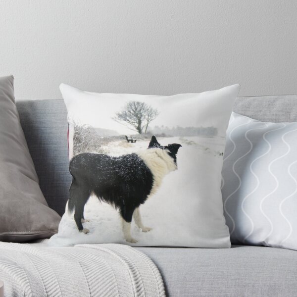 Item preview, What!!!! designed and sold by Michael Haslam.