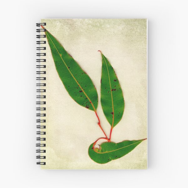 Item preview, Red Flowering Gum Leaves designed and sold by Chris Cobern.