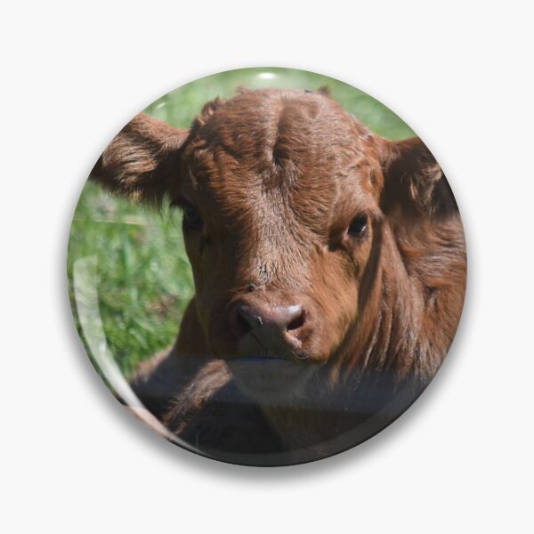 Item preview, Cute Baby Cow designed and sold by ReneeKennedy.