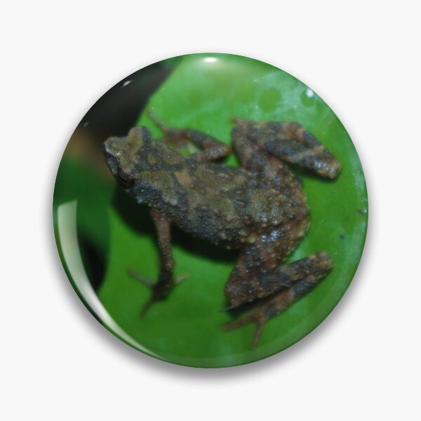 Item preview, Kadamaian Stream Sapo designed and sold by Steven Allain.