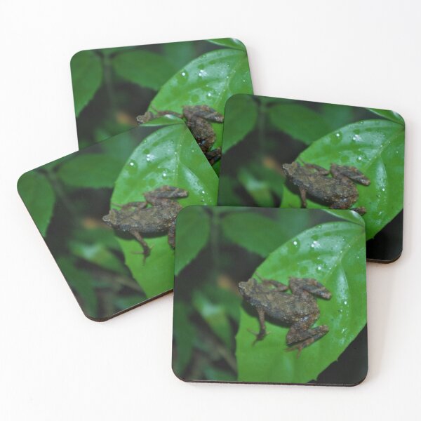 Item preview, Kadamaian Stream Toad designed and sold by Steven Allain.
