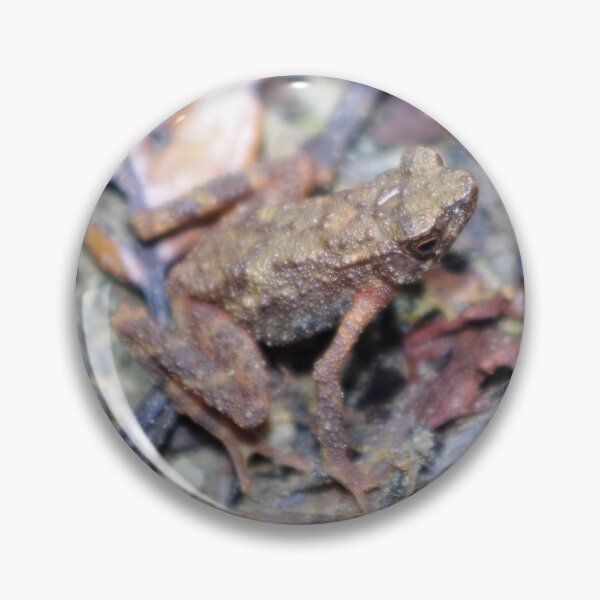 Item preview, Kadamaian Stream Toad designed and sold by Steven Allain.
