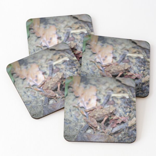 Item preview, Kadamaian Stream Toad designed and sold by Steven Allain.