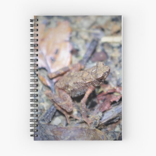 Item preview, Kadamaian Stream Toad designed and sold by Steven Allain.