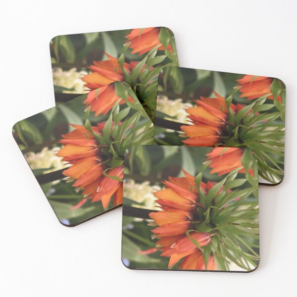 Item preview, Carrot looking flowers designed and sold by Phooph1.