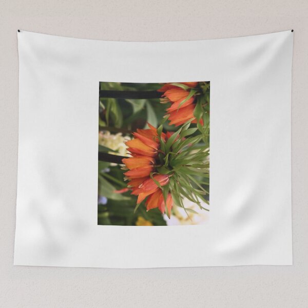 Item preview, Carrot looking flowers designed and sold by Phooph1.