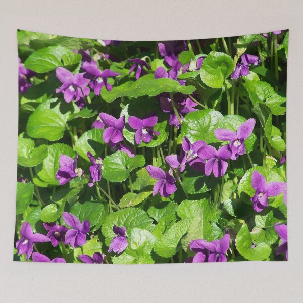 Item preview, Violets in the green designed and sold by Boscastle.
