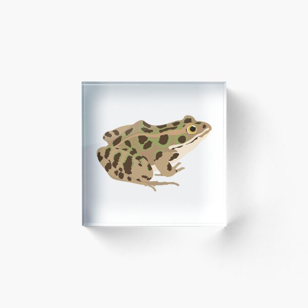 Aperçu de l'œuvre Grenouille léopard - Lithobates sp. créée et vendue par Emma Pardini.