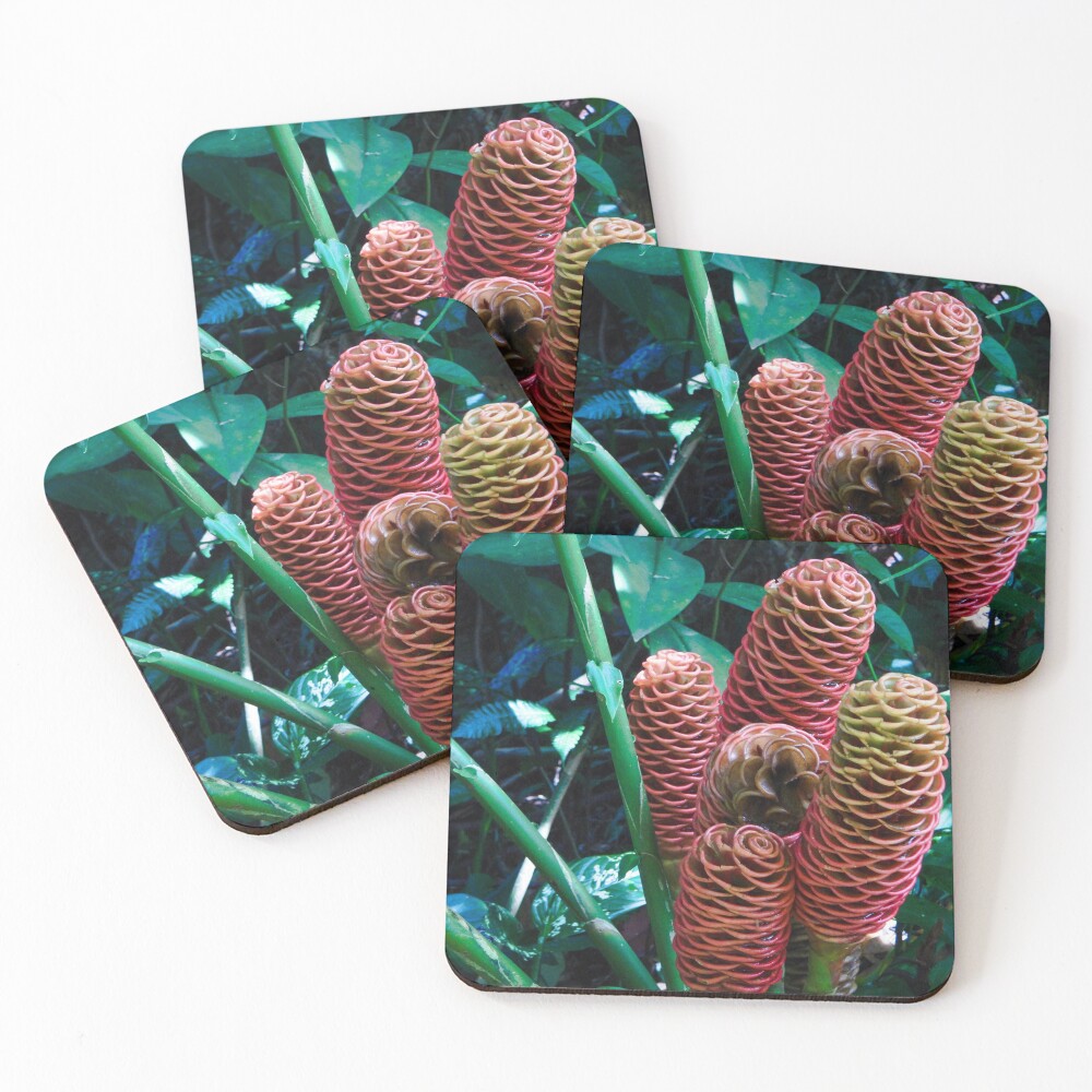 Item preview, Coasters (Set of 4) designed and sold by matcha-bee.