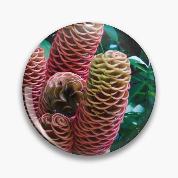 Item preview, Costa Rica designed and sold by matcha-bee.