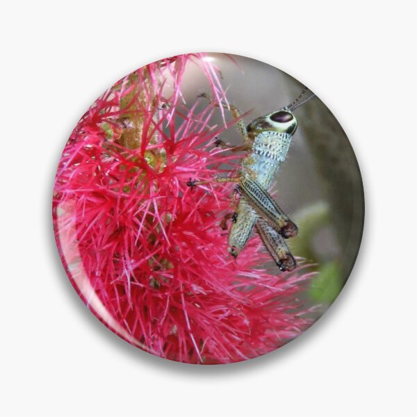 Item preview, Tiny Grasshopper designed and sold by Linda Walsh.