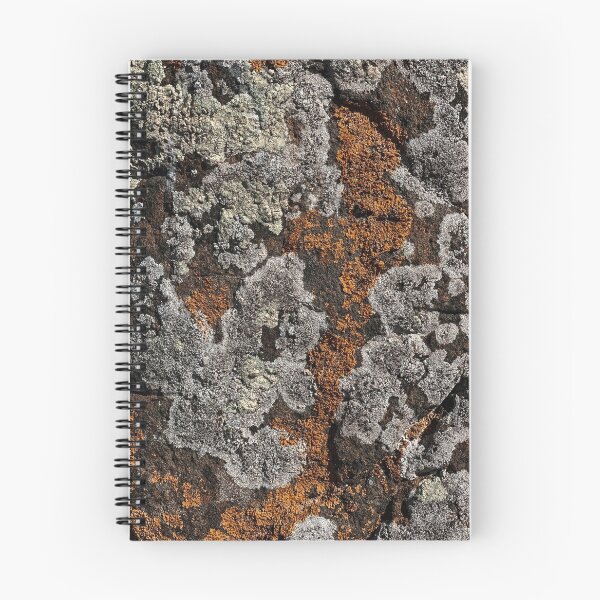 Item preview, Abstract earth-tones design. redecorate, refurbish, Stylize, earth tones designed and sold by jayne0524.