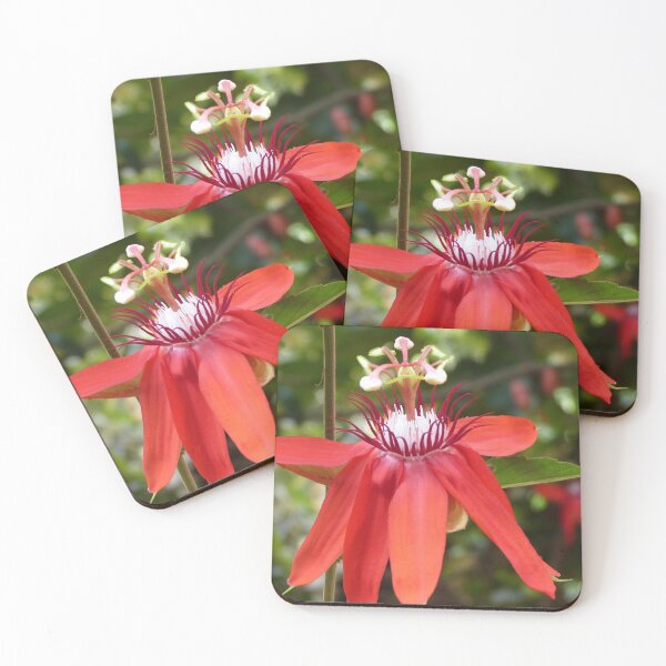 Item preview, Tropical Passion Fruit Red Flower Closeup designed and sold by worldways.
