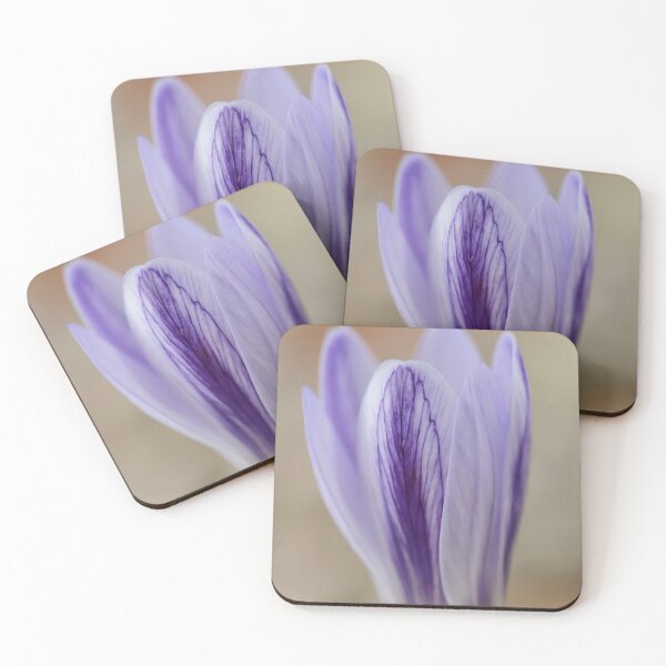 Item preview, Crocus cancellatus subspecies cancellatus  Autumn flowering crocus  designed and sold by Chris Burrows.