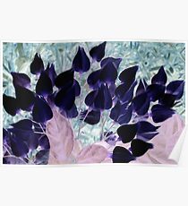White flowers in negative Poster
