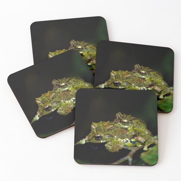 Item preview, Everett's Flying Frog designed and sold by Steven Allain.