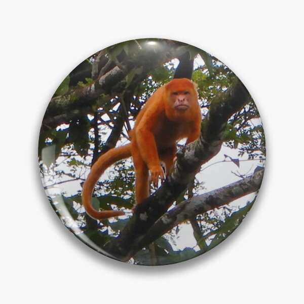 Item preview, Monkey designed and sold by matcha-bee.