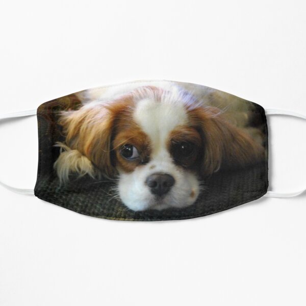 Pensive Pup Flat Mask