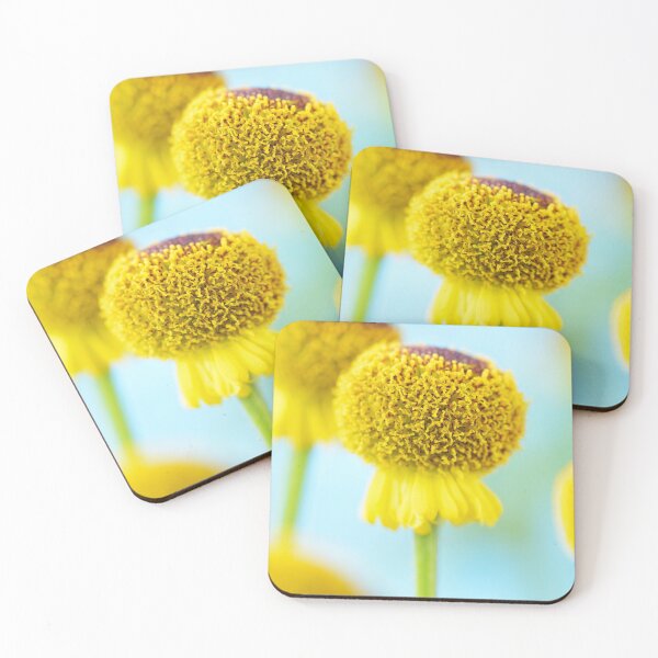 Item preview, Helenium puberulum  'Autumn Lollipop'  Sneezeweed   designed and sold by Chris Burrows.