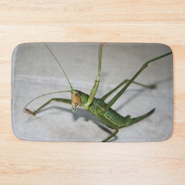 Item preview, What Katydid Next designed and sold by taiche.