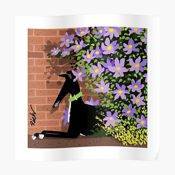 In the Shade of the Clematis Poster
