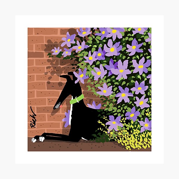 In the Shade of the Clematis Photographic Print