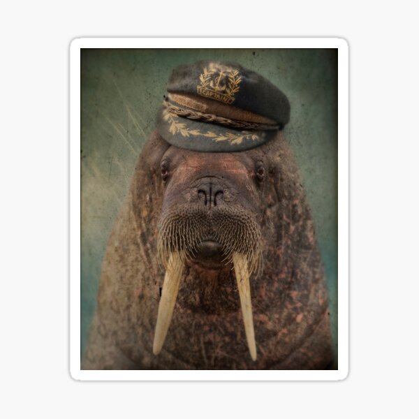 Item preview, Walrus Art - Barnacle Bill designed and sold by thelonelypixel.