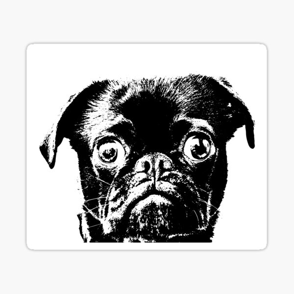 black pug Sticker
