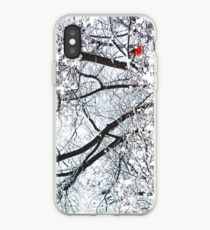 Kardinal im Winter (Central Park) iPhone-Hülle & Cover