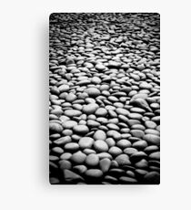 On the Rocks Canvas Print
