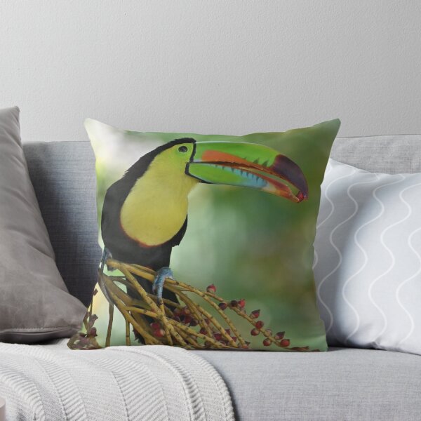 Item preview, toucan flash designed and sold by JIM-AND-ME.