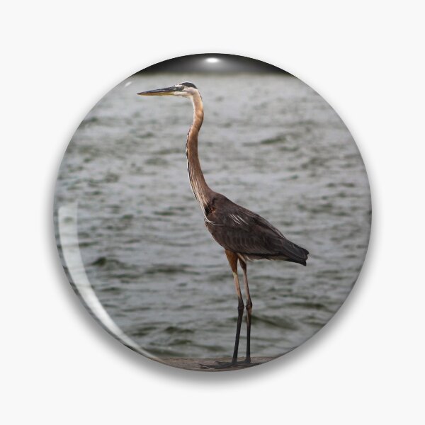 Item preview, Great Blue Heron at the Intracoastal Waterway designed and sold by banditandkoko.