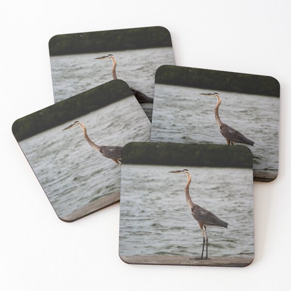 Item preview, Great Blue Heron at the Intracoastal Waterway designed and sold by banditandkoko.