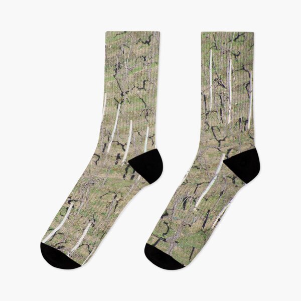 Item preview, Vineyard up close designed and sold by Boscastle.