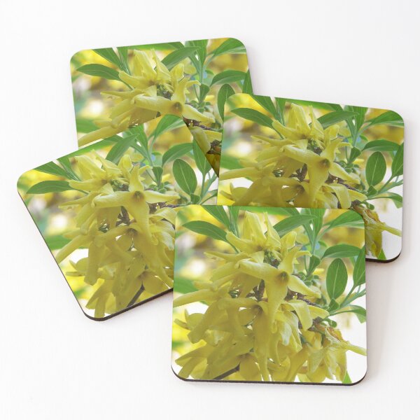 Item preview, Forsythia in spring designed and sold by Boscastle.