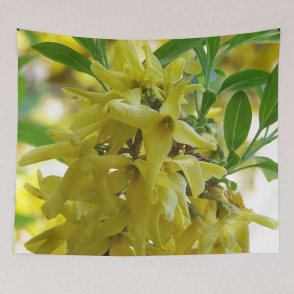 Item preview, Forsythia in spring designed and sold by Boscastle.