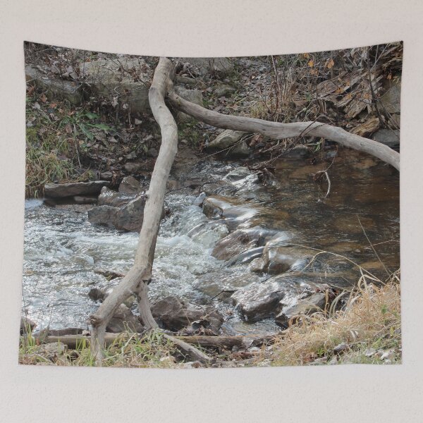 Item preview, Babbling Brook in the Woods  designed and sold by Susie Kramer.